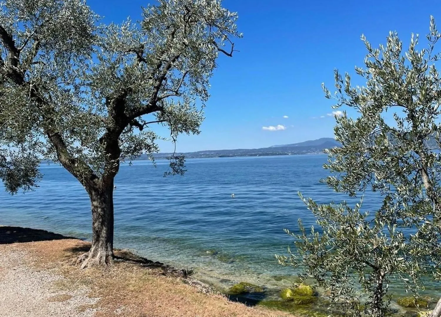 Lägenhet Villa Inessa Torri Del Benaco Italien
